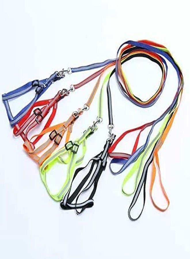 Pups&Pets Adjustable Soft Nylon Strip Radium Dog Harness & Leash Set for Puppies and Small Breed Dog Reflected Harness & Leash Set 15mm ((Black Color) - Image 4